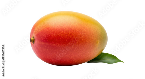 Isolated Red Mango with Leaf, a Sweet and Juicy Tropical Fruit, Healthy Vegan Eating, Vitamins