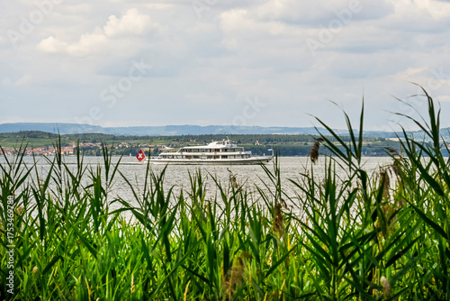 Güttingen, Bodensee, See, Seeufer, Uferweg, Ufer, Wasservögel, Schilf, Naturschutz, Wassersport, Seerundfahrt, Schiff, Sommer, Ostschweiz, Thurgau, Schweiz