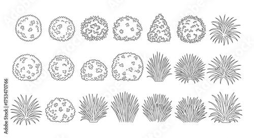 Botanical Line Art: Top View Illustration of Bushes, Shrubs and Grasses for Landscape Design, Ideal for Architectural Drawings and Garden Planning