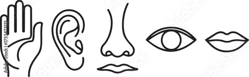 Vector art of five senses icons of hand, ear, nose, eye, and mouth