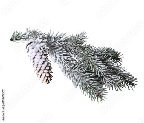 Frosted Fir Branch with Cone PNG
