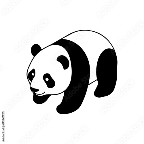 pandas vector line art design