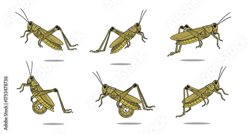 A collection of cartoon grasshoppers captured in mid-leap and mid-stride.