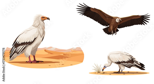 A trio of vultures showcasing their unique adaptations for scavenging in arid landscapes.