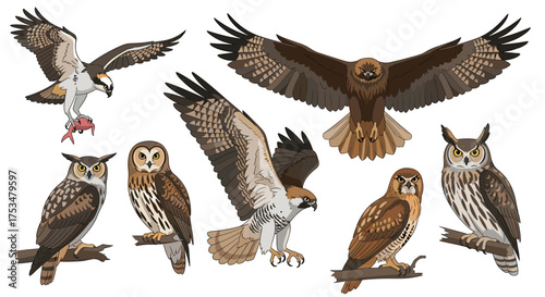 A vibrant collection of pixelated raptors and owls in various poses and natural settings.