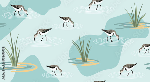 A serene gathering of shorebirds wading in shallow water surrounded by marsh grass.