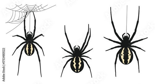 Three striped spiders hanging from webs creating a web art illustration.