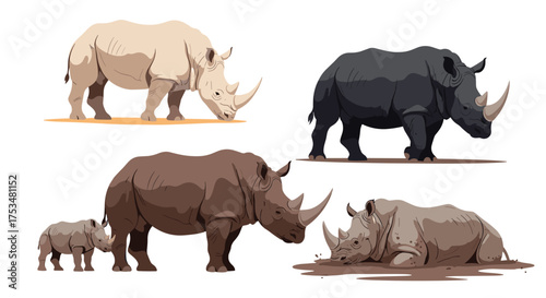 A collection of diverse rhinoceros species depicted in various poses and colors.