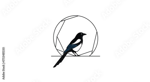 A minimalist line art depiction of a magpie perched in front of a geometric circular frame.