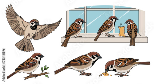 A collection of small brown birds in various poses and locations.