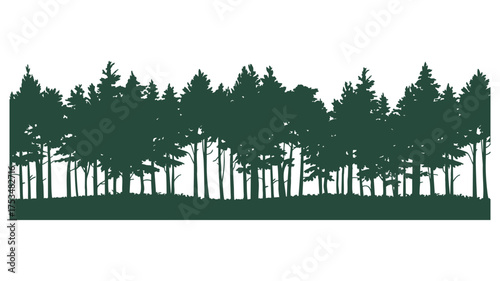 Dark green silhouette of a dense pine forest landscape