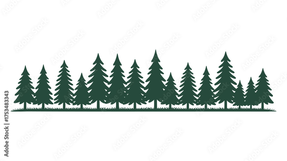 Obraz premium Silhouette of a dense evergreen forest against a white background