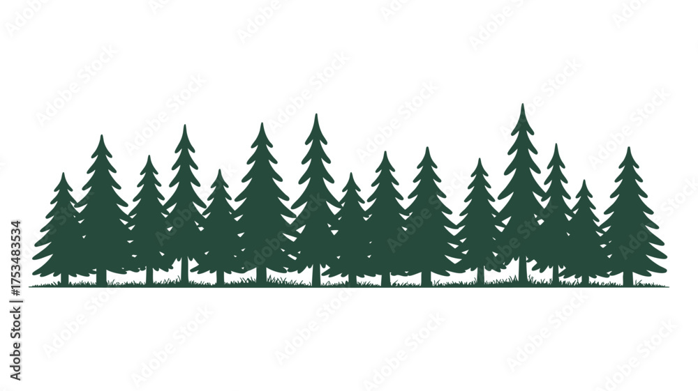 Obraz premium Silhouette of a dense evergreen forest against a white background