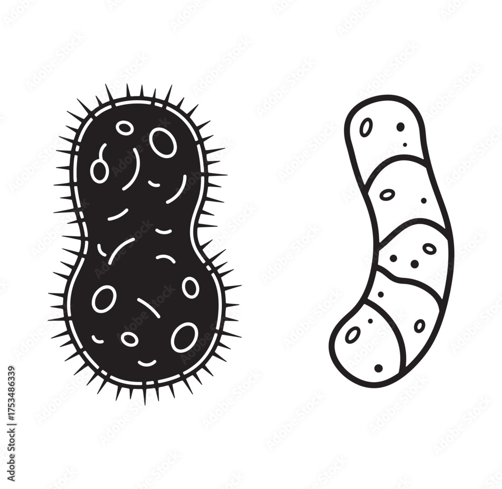 Fototapeta premium Simplified vector illustration of two different bacteria depicting disease and health concepts