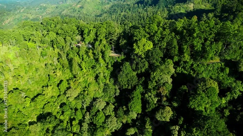 Aerial morning view of forest mountain hills in Ngadas, Indonesia