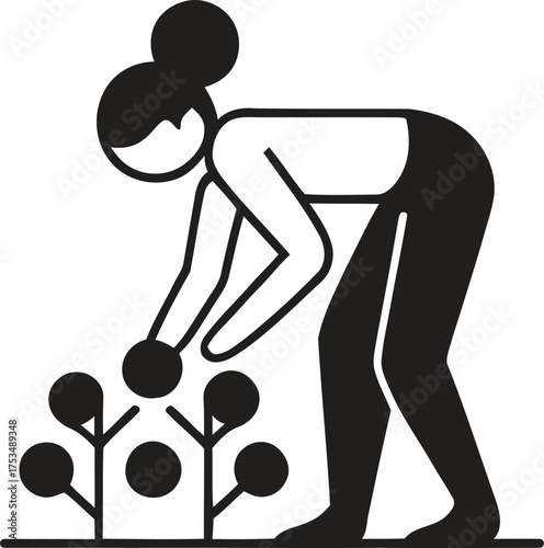 Woman planting small seedlings in a garden or farm
