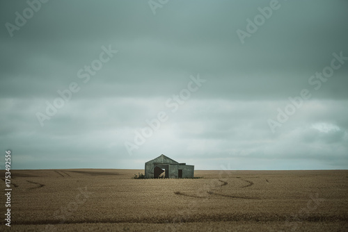 house in the field