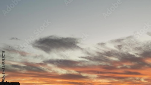 a flock of birds flies at sunset