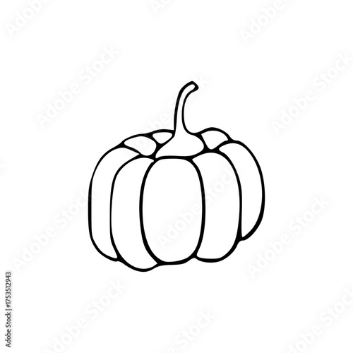 pumpkin on a white background