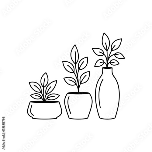 Three potted plants in a row with leaves and stems silhouette isolated on white background
