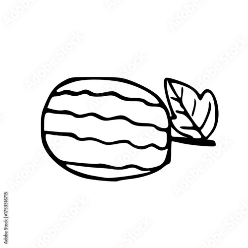 vector illustration of a set of vegetables, vector drawing of a watermelon