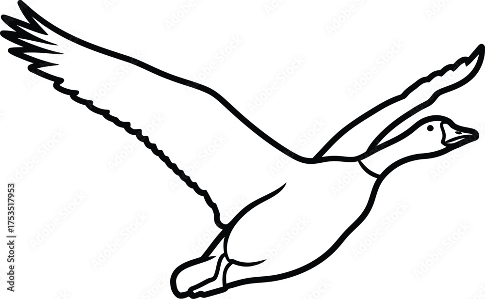 Obraz premium Flying goose illustration, black outline on a white background