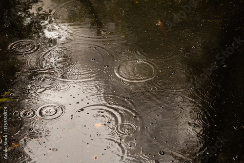 Gouttes de pluie tombant sur la surface d'une rivière faisant apparaître des cercles dans l'eau