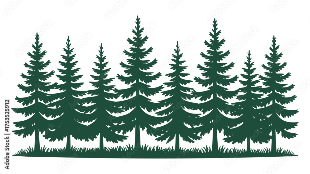 Obraz premium Silhouette of a dense forest of evergreen pine trees