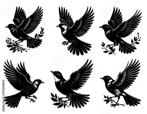 Bird vector set illustration