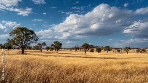 Sustainable Australian farm cultivating wheat and barley using regenerative agricultural practices. Cropping ranch promoting environmental stewardship.
 