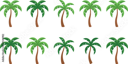 Tropical palm tree vector illustration with coconut trees summer vacation design