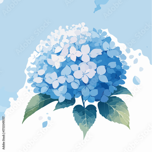 Blaue Hortensie mit weichen Farbverläufen
