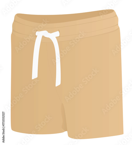 Brown male shorts. vector illustration	