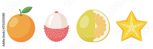 A colorful illustration of four tropical fruits including an orange, lychee, pomelo, and starfruit arranged in a row.
