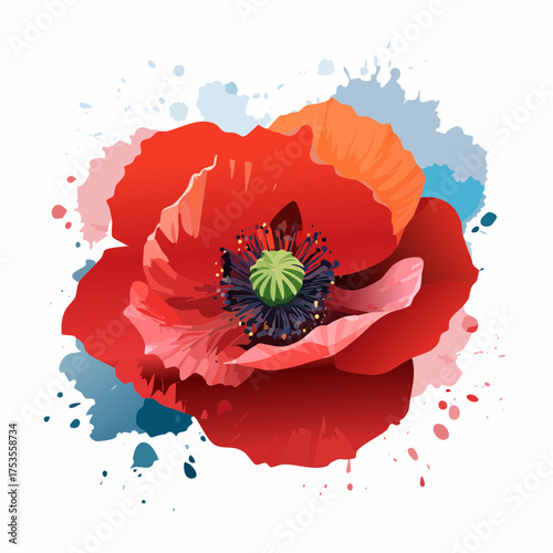 Roter Klatschmohn mit sichtbarem Pollenstaub