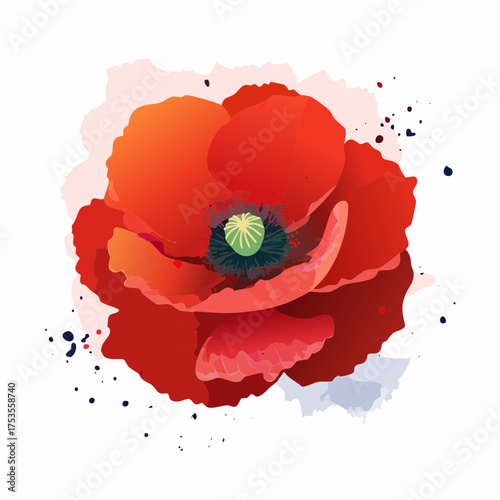 Roter Klatschmohn mit sichtbarem Pollenstaub