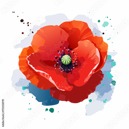 Roter Klatschmohn mit sichtbarem Pollenstaub