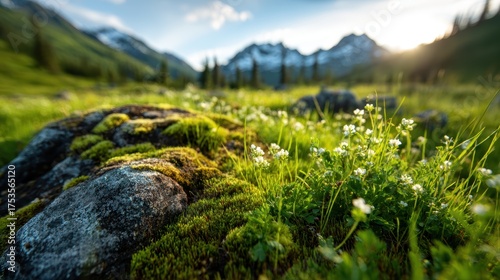 A tranquil outdoor scene depicting lush green grass and flowers with majestic mountains in the background, inviting feelings of peace and connection with nature.