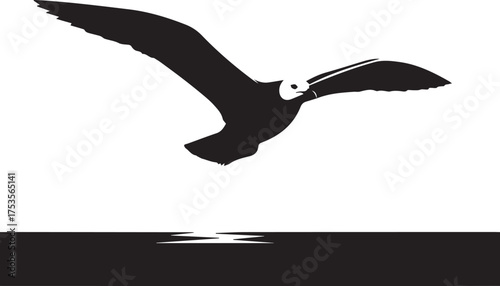 Majestic seagull soaring gracefully across the horizon in flight silhouette