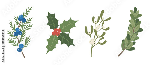 Four botanical elements include a juniper branch with blue berries, holly with red berries, mistletoe with white berries, and a bay leaf branch.