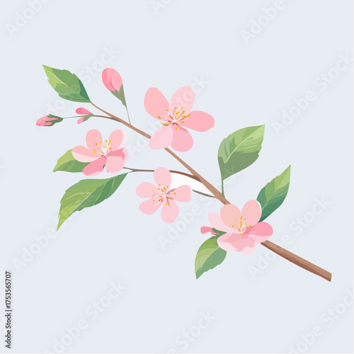 Kirschblüte mit zarten Zweigen – minimalistischer Stil