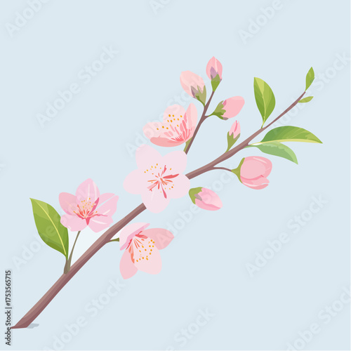Kirschblüte mit zarten Zweigen – minimalistischer Stil