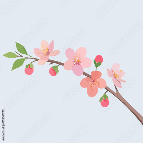 Kirschblüte mit zarten Zweigen – minimalistischer Stil