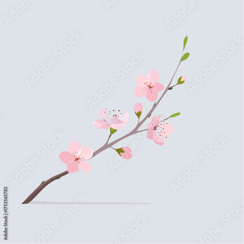 Kirschblüte mit zarten Zweigen – minimalistischer Stil