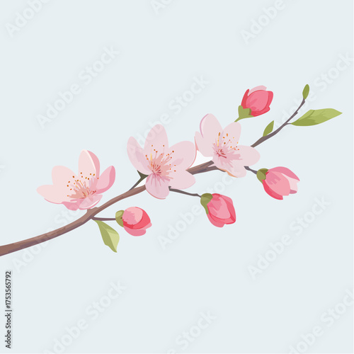 Kirschblüte mit zarten Zweigen – minimalistischer Stil