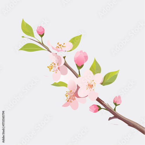 Kirschblüte mit zarten Zweigen – minimalistischer Stil