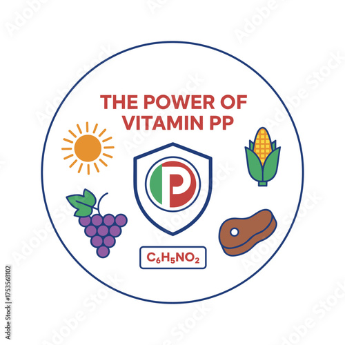 The concept of a nutrition sign vector, the potency of vitamin PP, and its chemical formula