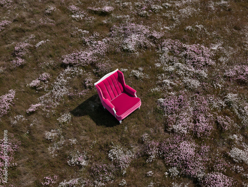 A hot pink velvet chair with white trim sits in the middle of a wildflower-covered field. Dreamlike composition merging fashion and natural elements.