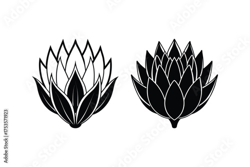 Two detailed artichoke illustrations presented in a striking black and white silhouette