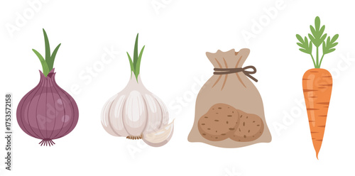 Stylized vector illustration of fresh onion, garlic, a sack of potatoes, and a carrot with greens, emphasizing organic produce.